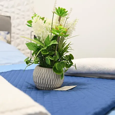 Terra Sinus Luxury * Terrasini