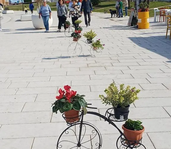 Terra Sinus Luxury *